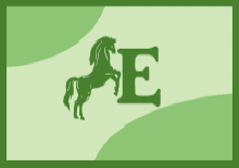 Logo Equive